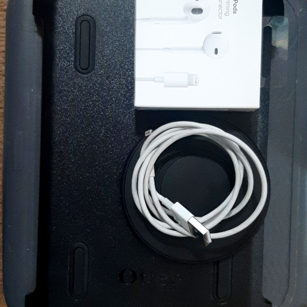 Apple iPad otterbox case, ear pods,wireless charger, original lightening cable